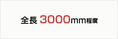 全長3000mm程度